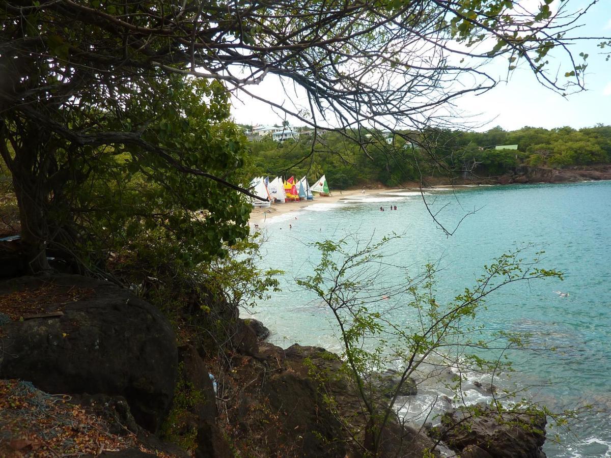 résidence la pointe marine Deshaies Exterior foto